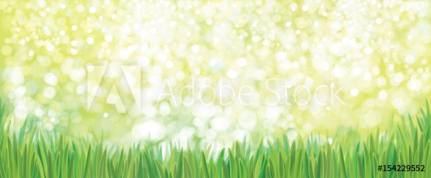 Image de Vector green grass nature background